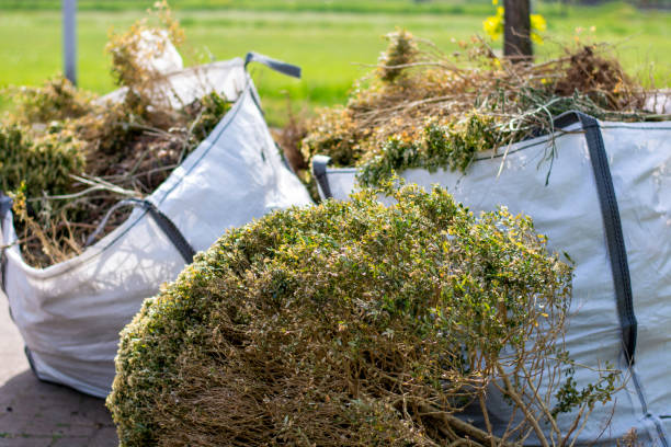 Best Junk Hauling Services  in Bell, CA